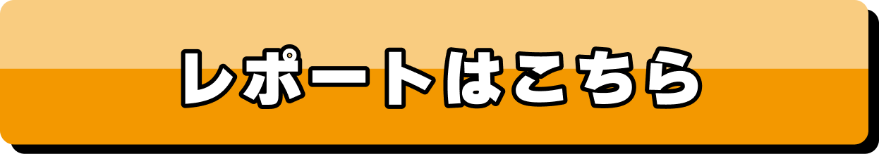 レポートはこちら